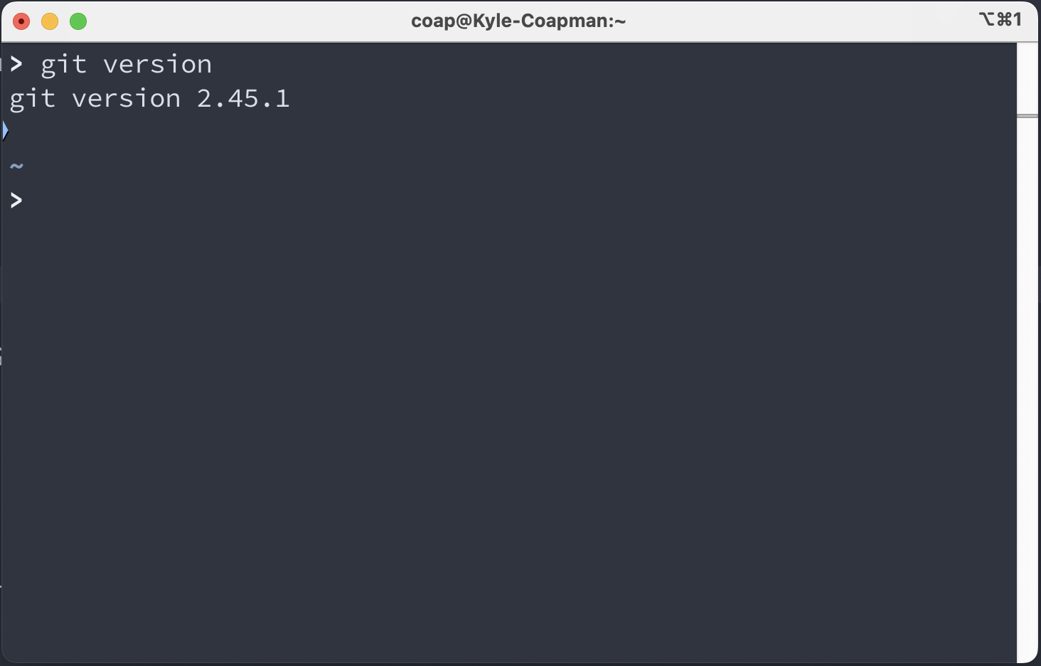 Verifying git installation Verifying git installation